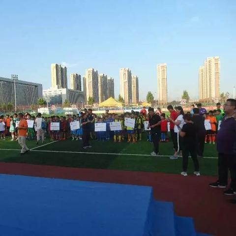 中国校园足球场有多少