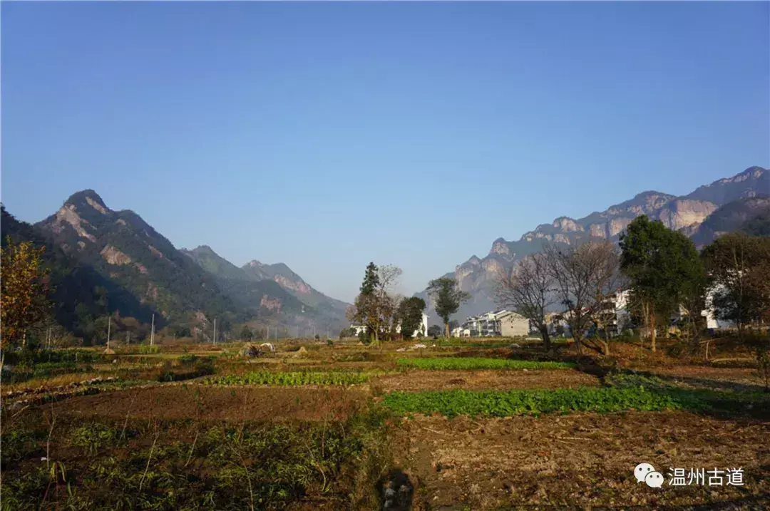 岩板餐桌如何起号 小餐桌赚钱吗