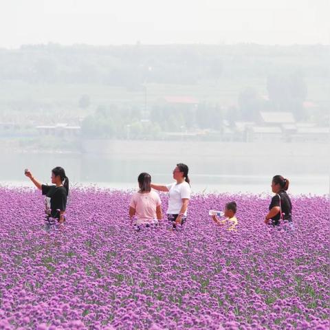 长治处于什么气候带