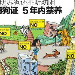 西安哪有猫猫市场相关长尾关键词有哪些