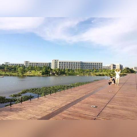 宁波市有什么大学吗现在