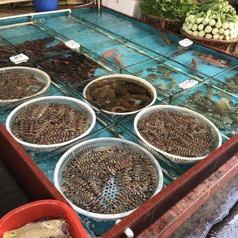 厦门市生活了多少人