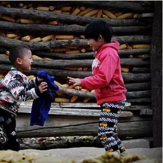 兰州市哪里能买到小鸡仔