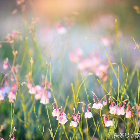 桂林市怎么去世外桃源