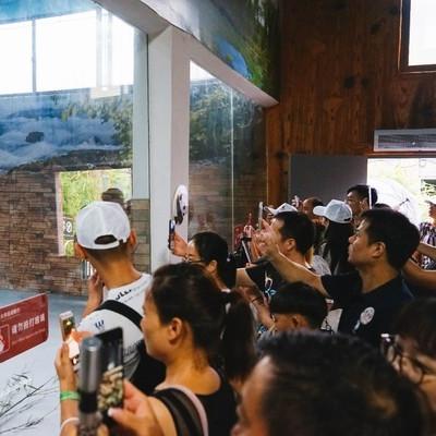 东莞市公安局长安分局长的长尾关键词有什么