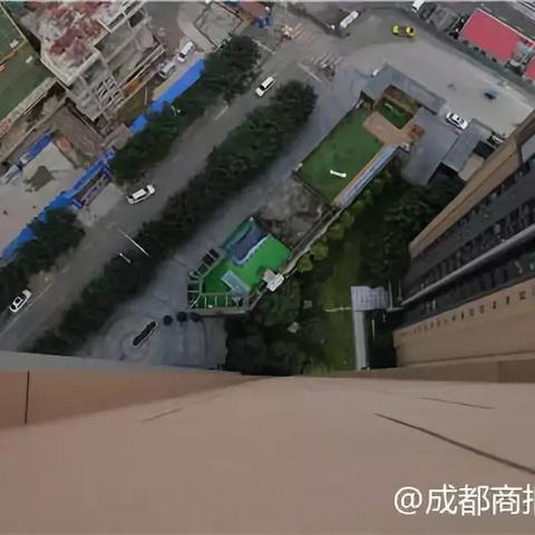 成都市区有哪些宠物店