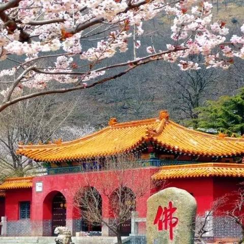 潍坊市海拔查询系统的长尾关键词有什么