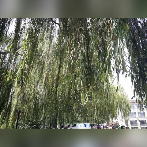 兰州和拉萨哪个繁华？