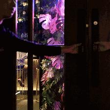 【天津有驻唱的酒吧】相关长尾关键词有哪些