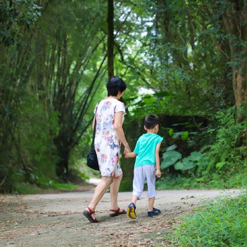 桂林市哪里有竹林