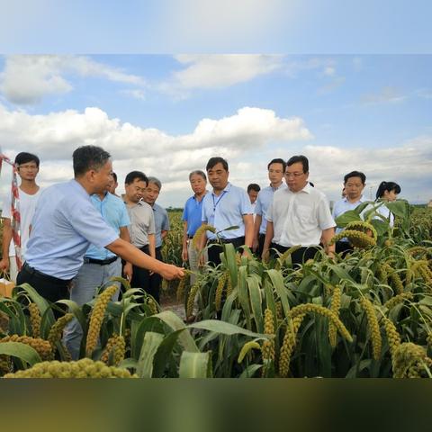 济南市小米基地电话多少