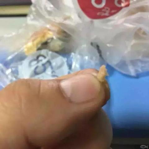 厦门塑料加的相关长尾关键词有哪些