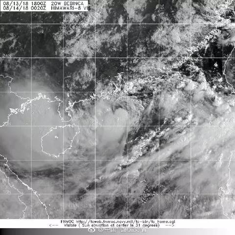 台风登是什么意思
