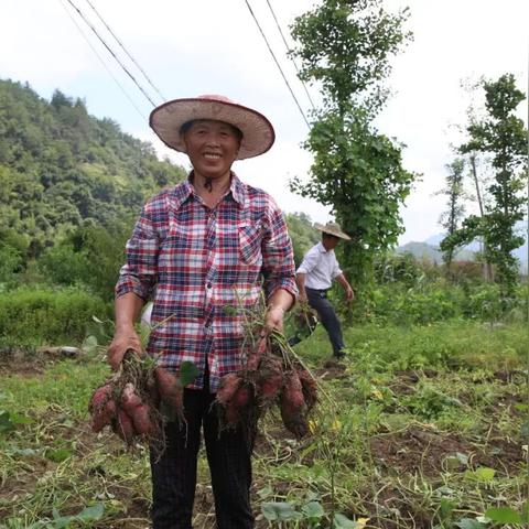杭州低筋粉的相关长尾关键词有哪些