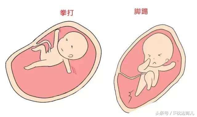 不是说孕晚期的胎动会减少？怎么胎儿还这么活跃