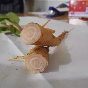 南通扶正生命肽厂家长尾关键词有什么