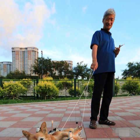 哈尔滨市瘫痪医院怎么样
