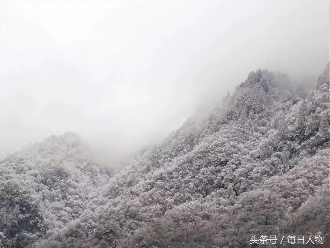 梦见捉鱼，竟是这些征兆在暗示你