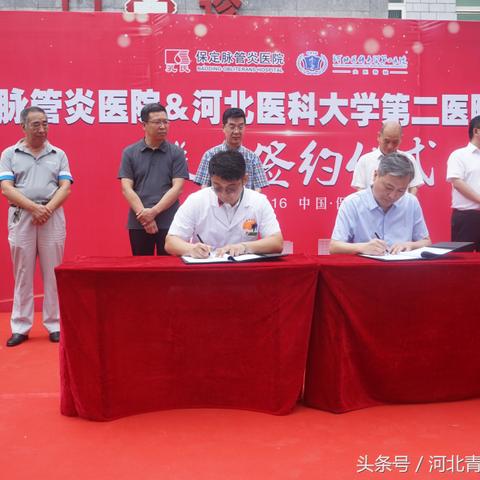 保定市中医段主任的长尾关键词有哪些