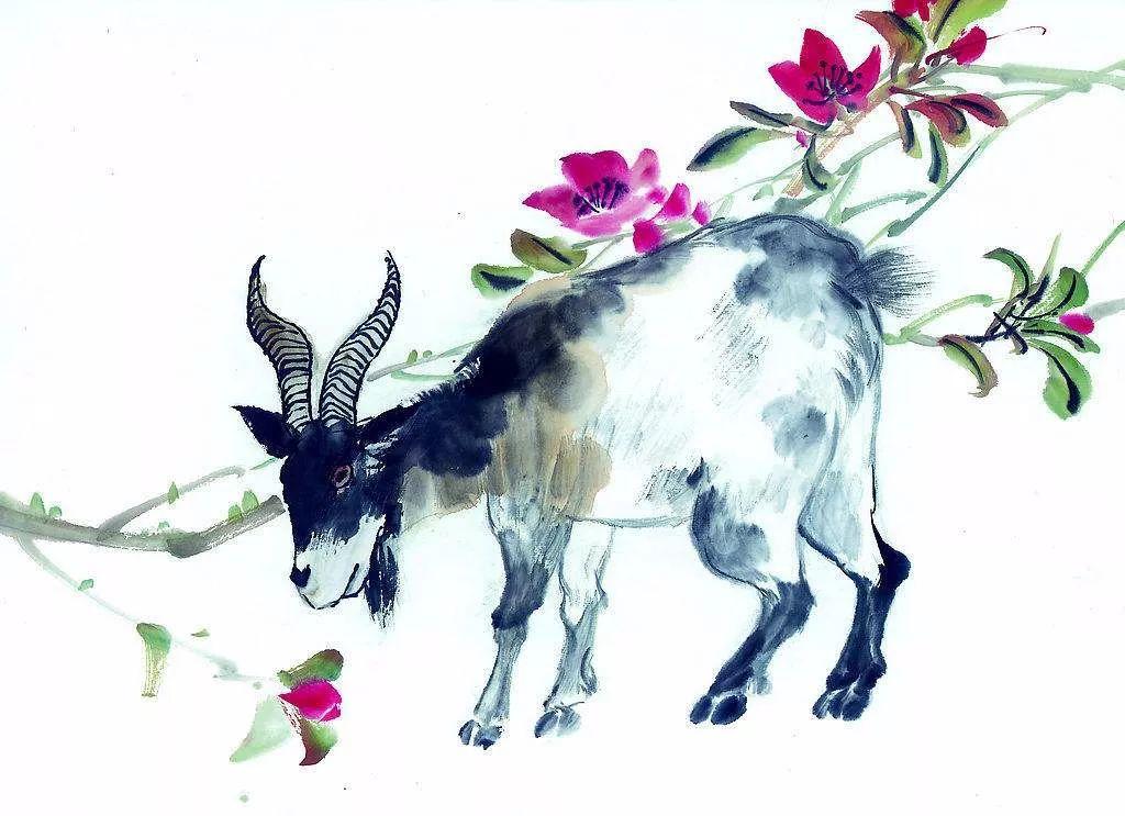 福过祸生代表什么生肖，权威解答