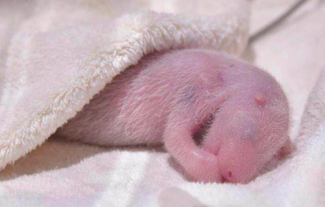 宝宝身高正常体重偏轻怎么回事