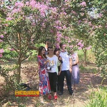 合肥市官厅镇有哪些村