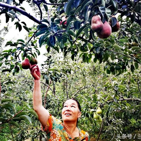 兰州市红星巷公厕在哪里