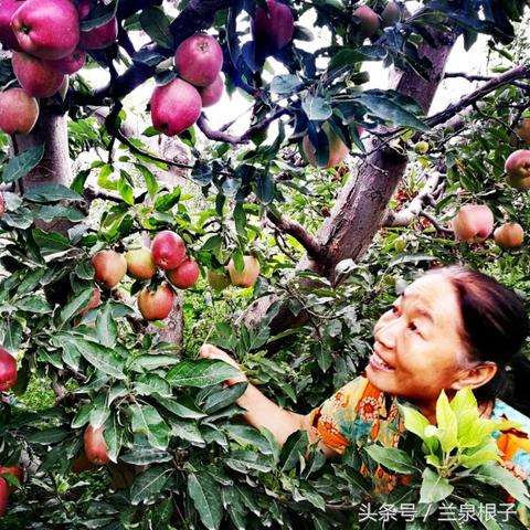 兰州市红星美食街在哪里