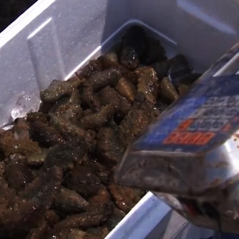 7月底大连气温的长尾关键词有什么