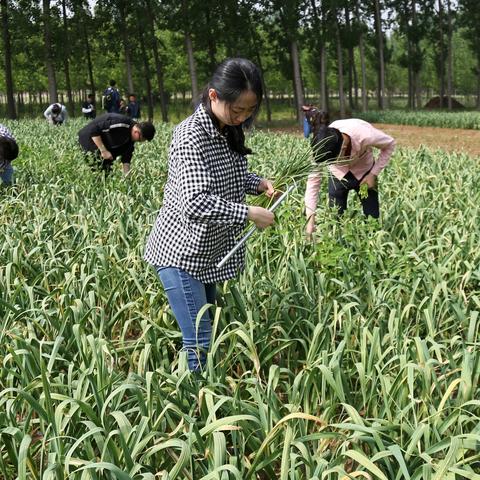 哈尔滨土质检测相关长尾关键词有哪些