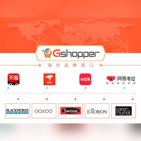 海外电脑电商平台排名 相关的长尾关键词有哪些 