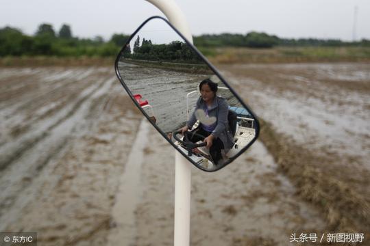 90后女孩接父亲班开农机创业，农田里收获完美爱情，书写别样青春