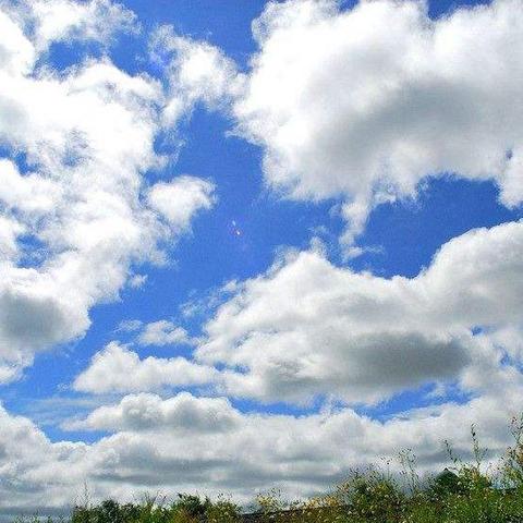 伊犁七月份天气的长尾关键词有什么