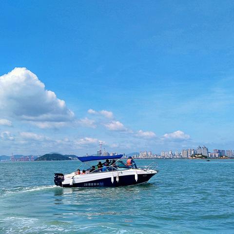 厦门市帆船一共有多少