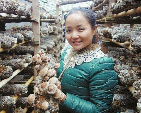90后女孩种植香菇，亩产1万元，群众：香菇西施