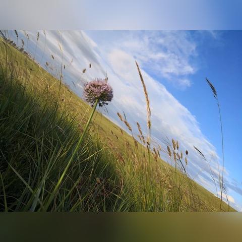 哈尔滨市常住哪个小区