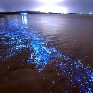 福建霞浦海滩特色？