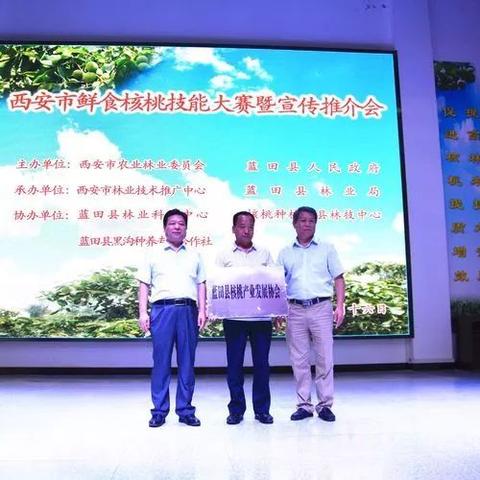 杭州市E类人才有什么用