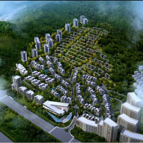 杭州小汽车摇号申请查询官网？