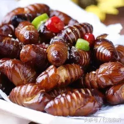 临沂市蚕蛹批发的长尾关键词有什么