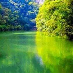 陕西电子户口本领取方法？