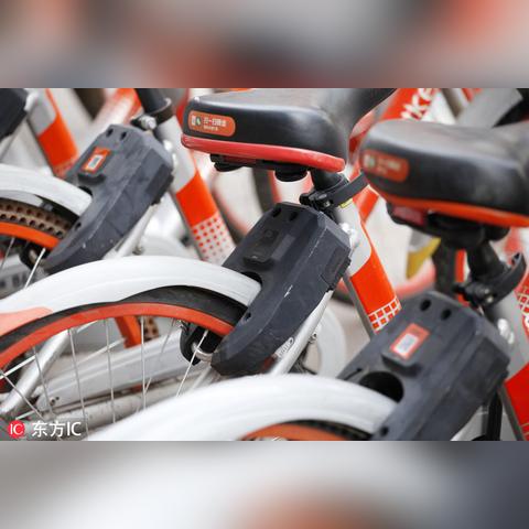 广东省佛山市有几个车牌的长尾关键词有什么