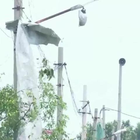 潍坊市清障的长尾关键词有哪些