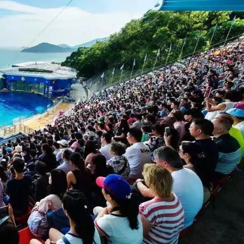 盘点浪漫热气球在上海相关关键词有哪些