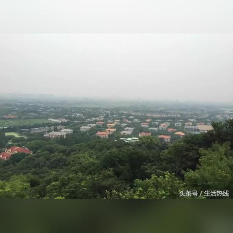 上海山林食品有哪些