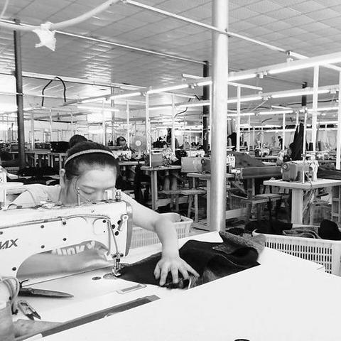 河北沧州地区最大的物流园？