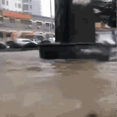 山东省和大连市哪个好