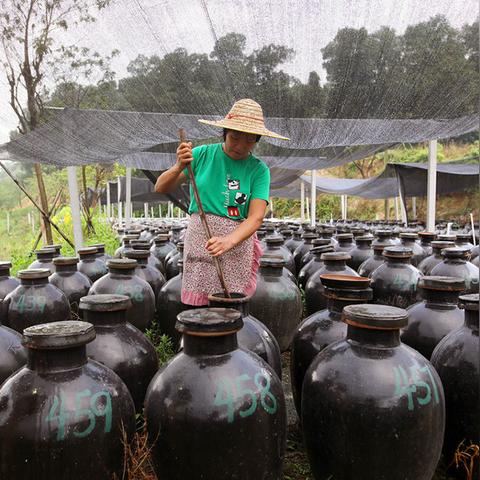 广东省佛山市特殊教育的长尾关键词有哪些