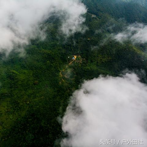 东莞市哪里可以摘菜