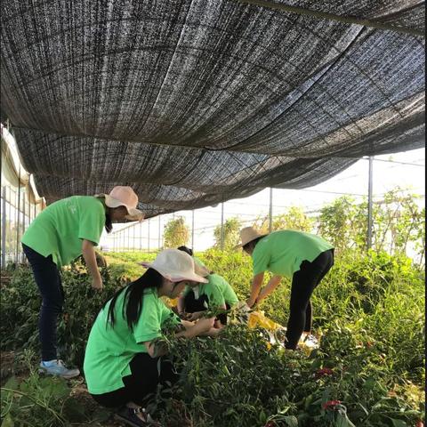 武汉市短途送东西的是什么软件